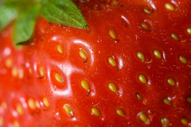 抽象墙纸极端宏观背景:草莓图片下载