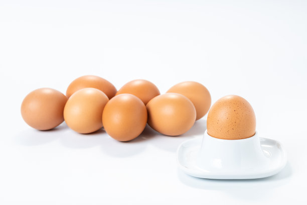 白色背景下的鸡蛋图片下载