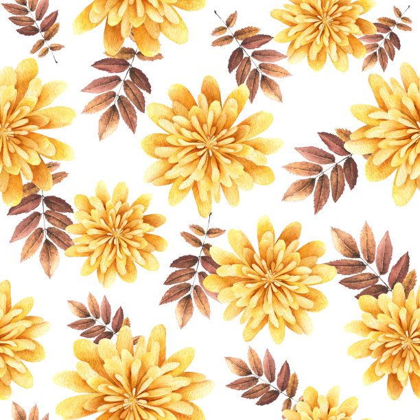 水彩秋天无缝橙色菊花图案与叶月桂。秋季花卉系列。手绘插图设计墙纸，请柬，家居装饰，打印在织物上。图片下载