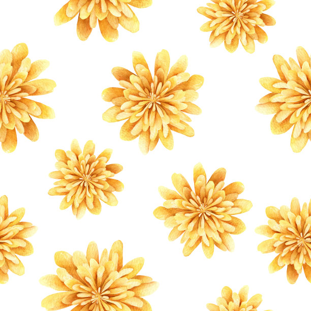 秋季水彩无缝图案的桔黄色菊花。秋季花卉时装系列。手绘插图设计墙纸，请柬，家居装饰，打印在织物上。图片下载