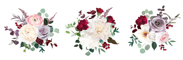 经典豪华的红色和淡紫色玫瑰，粉红色毛茛，大丽花图片下载