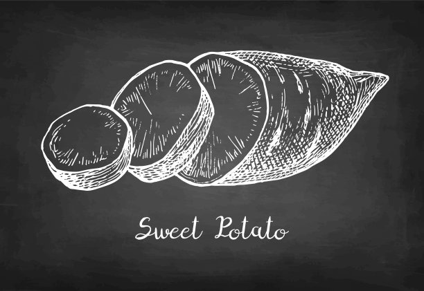 山药的粉笔素描。图片下载