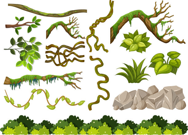 把木头树枝和岩石放在白色的上面图片下载