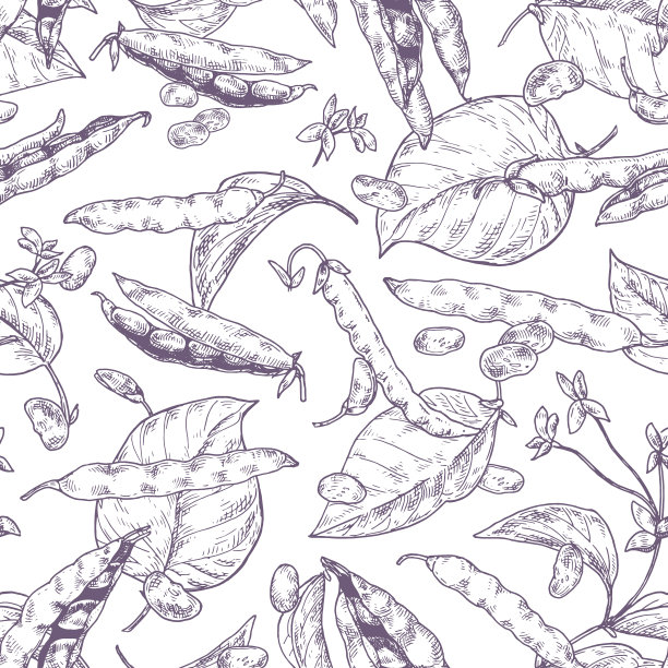 不同的豆荚和谷物是单色的图片下载