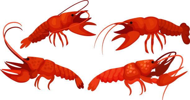 有厚壳和强壮螯合肢的龙虾图片下载