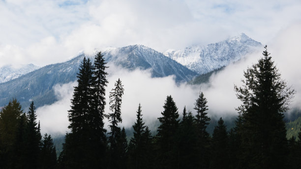 加拿大的山地景观图片下载