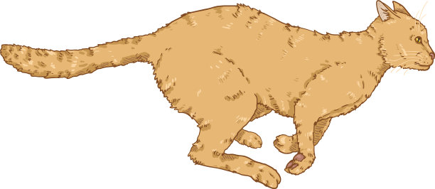 奔跑的猫卡通猫图片下载
