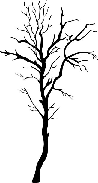 组树的轮廓图片下载