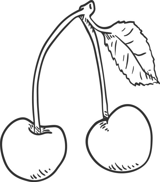 素描:有叶子的树枝上的两颗樱桃图片下载