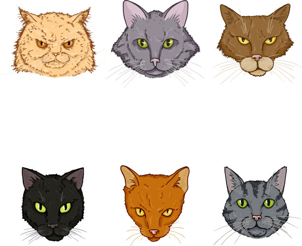 设定卡通猫的脸图片下载