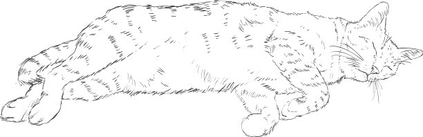 素描单一的猫图片下载