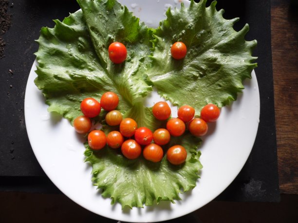 生菜和小番茄的脸!图片下载