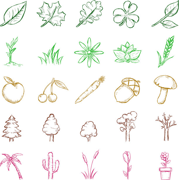 设置孤立的颜色草图植物图标图片下载