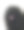 匈牙利普里犬，白色背景下的成人肖像图片下载