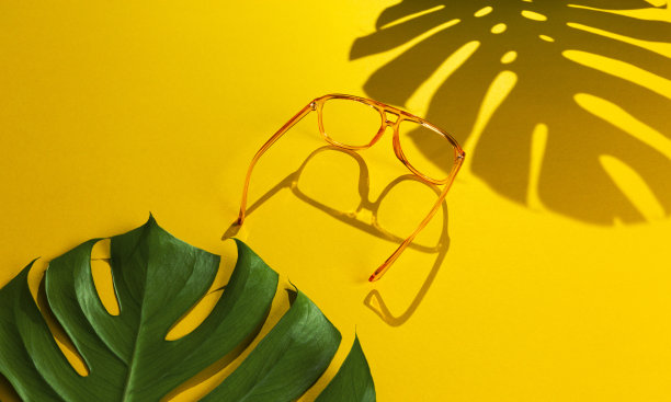 一对现代时尚女性太阳镜与抽象明亮的黄色背景孤立的怪物叶阴影与强光图片下载