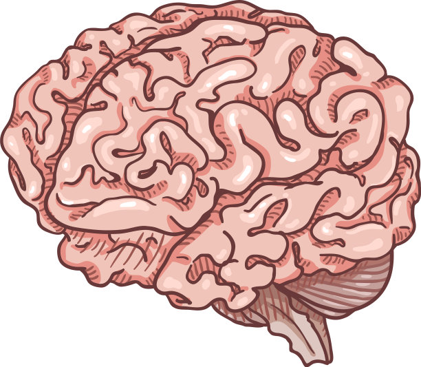 卡通粉色人脑图片下载