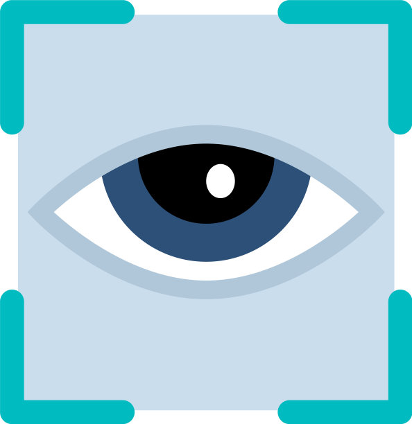颜色平面图标-人眼在框架图片下载