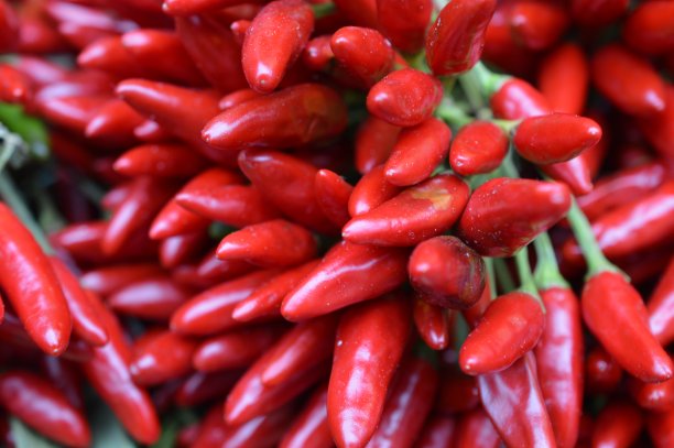 辣椒图片下载