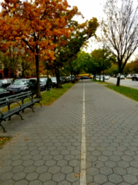 秋天的城市街道图片下载