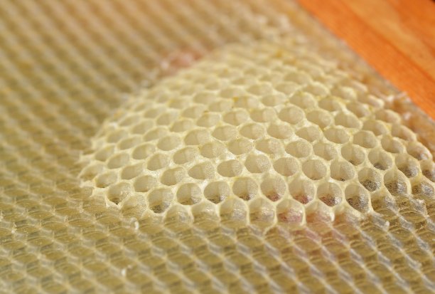 蜜蜂蜡图片下载
