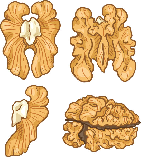 套卡通彩色去皮核桃图片下载