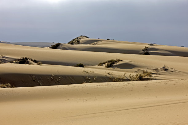 沙丘，沙漠附近的沃尔维斯湾在纳米比亚图片下载