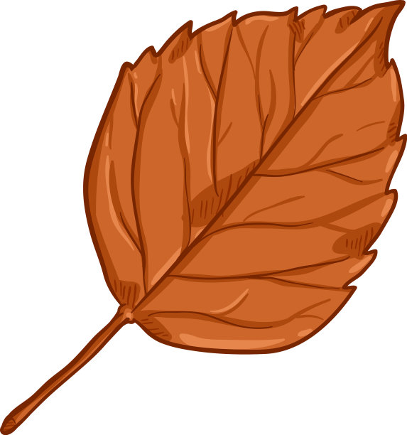 卡通-秋日落橙叶桦树图片下载