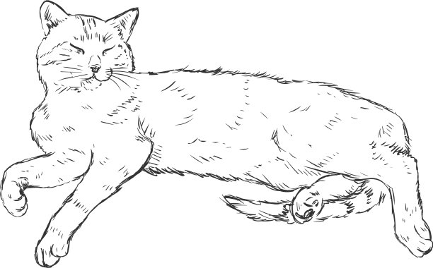 素描躺在猫图片下载