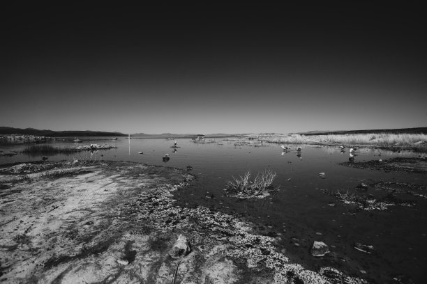 莫诺湖的黑白照片图片下载