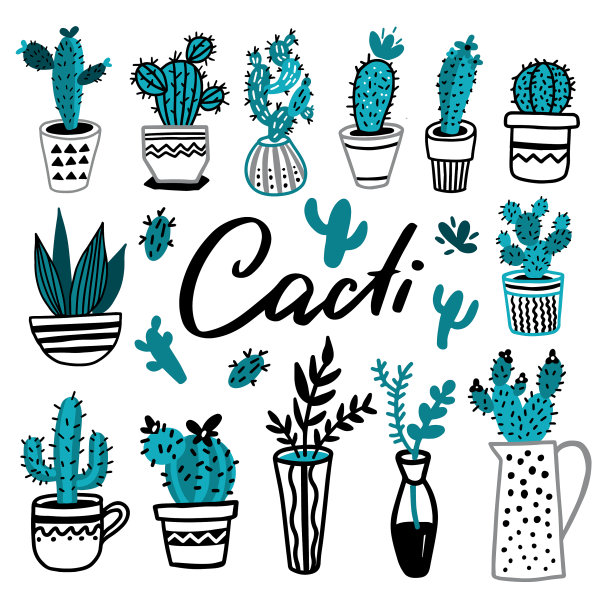 收集仙人掌手绘集图片下载