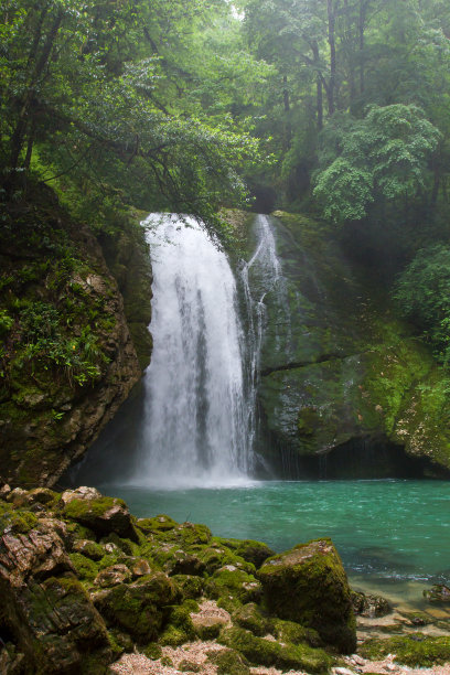 森林里美丽的瀑布图片下载