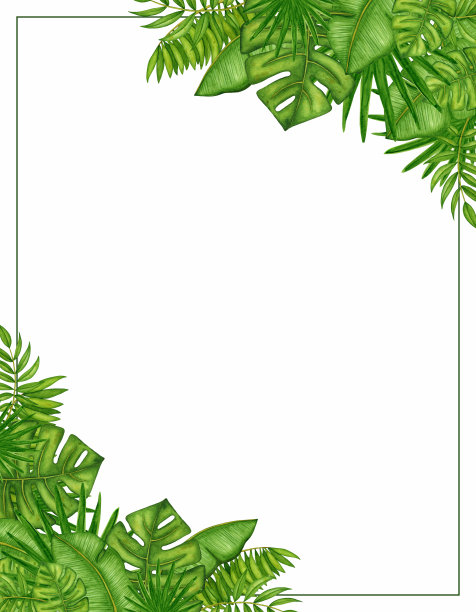 水彩方形自然框架与绿色热带树叶。手绘棕榈枝，模板复制空间的文本。素材图片