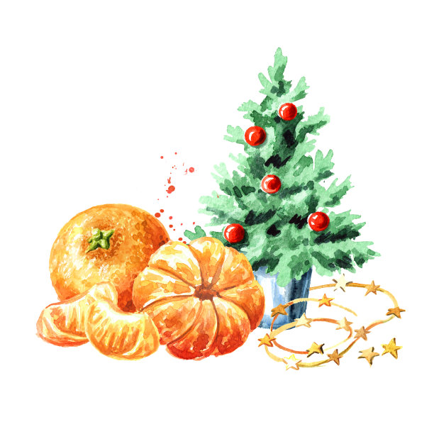 小装饰圣诞树和多汁的桔子或橘子，新年和圣诞节的概念。手绘水彩插图，孤立的白色背景图片下载