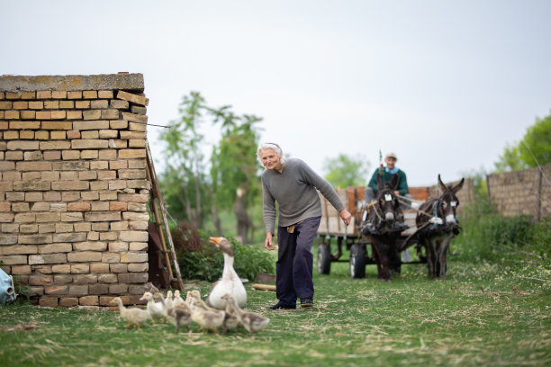 高级农民在农场工作图片下载