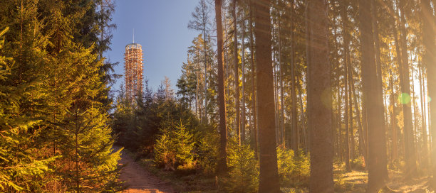 捷克共和国赫拉迪斯:木制瞭望塔图片下载