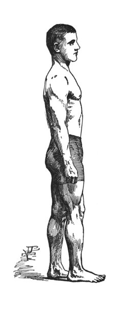 竞技体育——肌肉男的侧面图图片下载