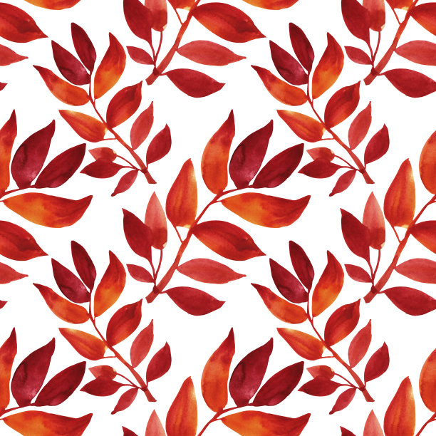 无缝模式水彩手绘橙色和红色秋天的树叶和树枝在白色的背景。艺术创作的自然对象贴纸，卡片，墙纸，纺织品，包装，花店素材图片