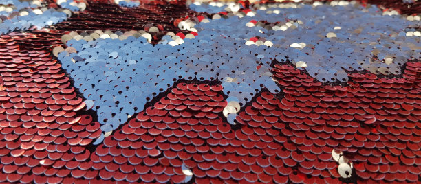 圆形亮片的比例纹理背景在世界地图的形状图片下载