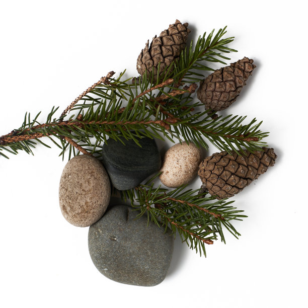 新年的背景概念。图片下载