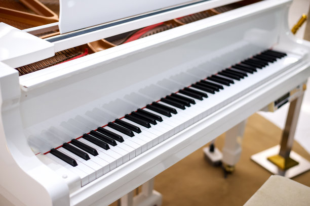 美丽的白色钢琴图片下载