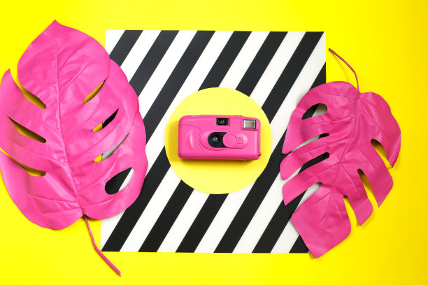 怪物和照相机的粉红色热带棕榈叶。图片下载