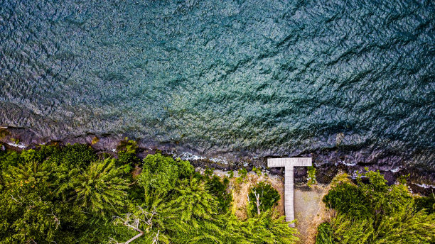 鸟瞰图的一个小湖边码头周围的茂密的植被图片下载