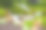 瀑布和花——印第安纳州汉密尔顿县图片下载