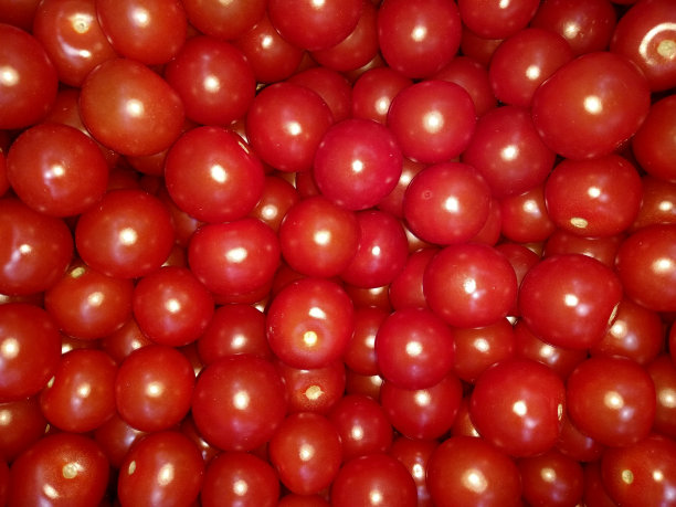 红色樱桃番茄图案。图片下载