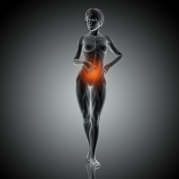 3D医学背景，女性在疼痛中抱着胃部图片下载