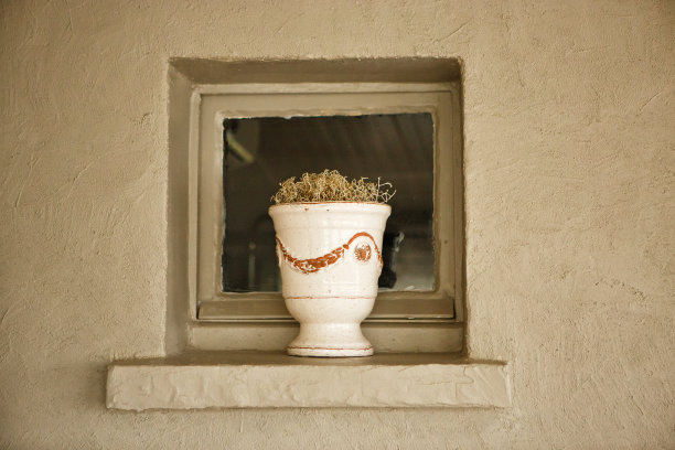 一盆干花放在小窗的窗台上。图片下载