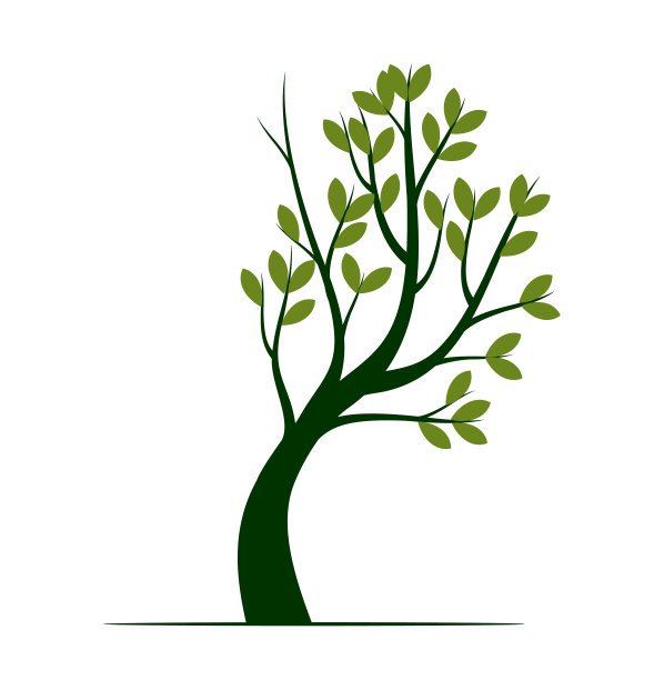 绿色的树和叶子。矢量插图轮廓。植物在花园。图片下载