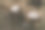 婚礼上，新郎新娘与婚礼上的“先生”和“太太”签名图片下载