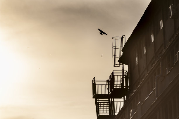 的飞行图片下载