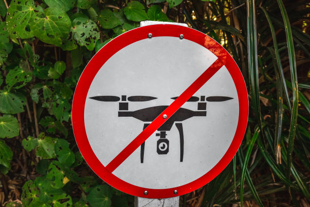 新西兰的观点图片下载